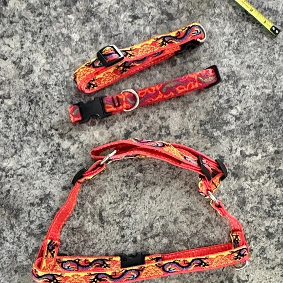 21 Vibrant Multicolor Dog Collars used
